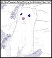 Ermine Practice Sketch