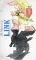 The Adventure of Link by foreveranonymous