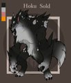 Adoptable: Hoku (sold)