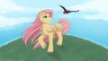 Fluttershy wallpaper by postmortem