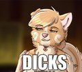 Dicks