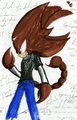 -STS-
