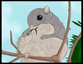 Hamster, Practice Color