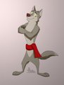 Wink (Fan Art - CrocPond)