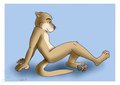 YCH commission - Mook by GemWolf