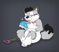 doggybowl