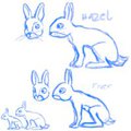 Watership Down Re-Design