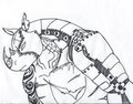 Bio-Rhino