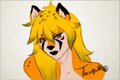 Headshots by Toxicinity 