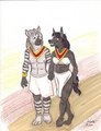 A walk in the desert