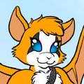 Nimbat! [Cobalt Patreon Pic]
