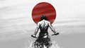 Samurai Warrior.  by DaveyMod9093