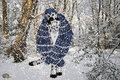 Snowstorm