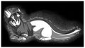 Team Magma Linoone
