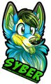 Syber Badge