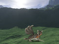 a fox in the wild