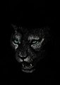 Out of the dark by thelonewolffft2