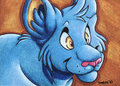 ACEO- Shinx