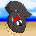 I've Been Frisbee'd