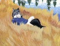 Chilling Out