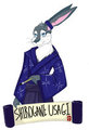 Shirogane Usagi