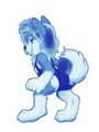 Kino Summer Swimsuit
