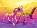 Feral love