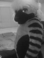 "Come into my parlor." Said the hyena to the zebra