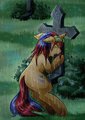 [Reward] Twin without Twin