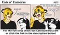 Cats n Cameras Strip #273 - Then what?