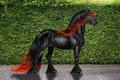 RWS Shikoba