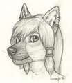 Osiris headshot by hyenafur