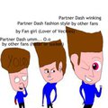 what are you of partnerdash 