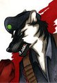 Karl/Johan Badge