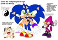 Sora and Nicky Reference Guide