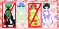 Felines {Adoptables}