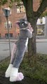 Whoops... lost the balance ;) by Rattie