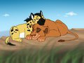 Napping in the sun