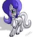 CatPony Felicia