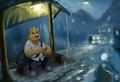 rainy night in university  by Merfiller