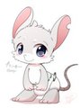 Plienky