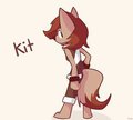 LazyBrownFox by Kaips