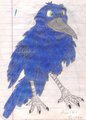 Just random crow- drawn by proxer