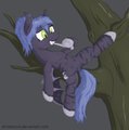 Fuzzy Batpony