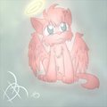 Angel Cat