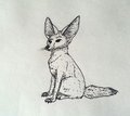 little_fennec by reptifur