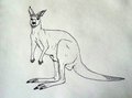 roo sketch