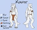 [Commission] Xavier Ref