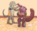 An Unconventional Birthday Wish Is Granted (6)