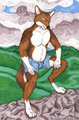 Taiho by Darkie